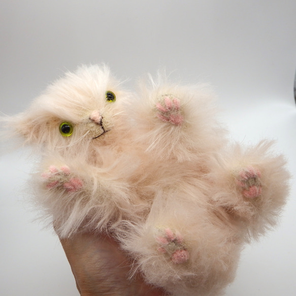 【テディベア】猫　長毛種　シャンパンピンク　デンスモヘア　ふさふさ【210】 7枚目の画像