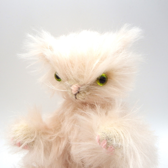 【テディベア】猫　長毛種　シャンパンピンク　デンスモヘア　ふさふさ【210】 9枚目の画像