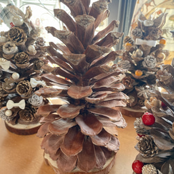 ご注文商品専用出品大王松の松ぼっくり 1_a1f39c0e8dbd0284ccd66349f8bc