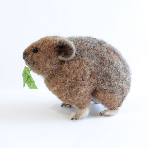 羊毛フェルト 作品 気になる木になる森の仲間たち 羊毛フェルト 作品 気になる木になる森の仲間たち