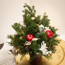 小さなクリスマスツリー② 1枚目の画像