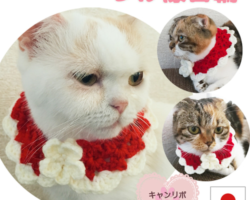 140b0a6aa548398cdb2af3cd1cd7e7