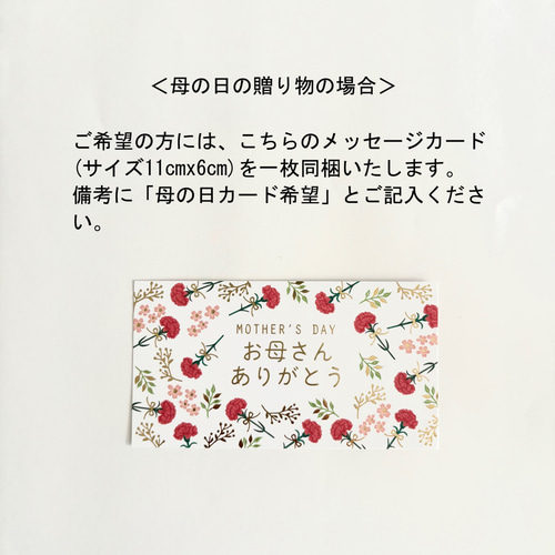 ちょこんと顔出す トイプードル（右側）＆ プリザーブドフラワー