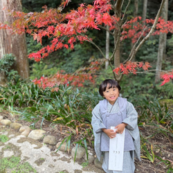 グレーリバティ着物&リバーシブル被布set【Hidcote Berry】七五三 3歳 女の子 男の子 753 子供 キッ 9枚目の画像