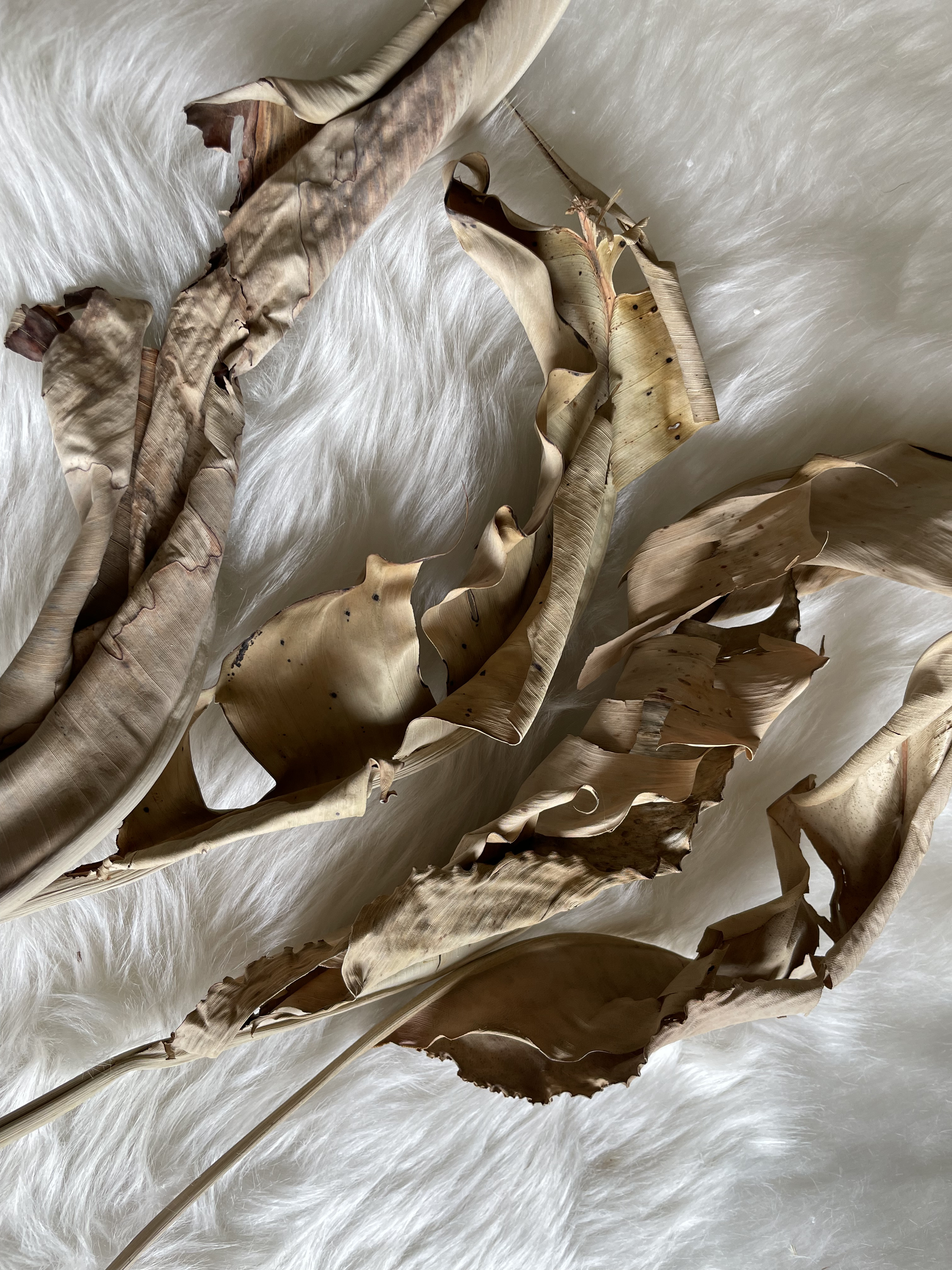 ドライフラワー　インテリア　アンティークブラウンのデコレーションフラワーセット　ウエルカムスペース　そのままが触るだけ