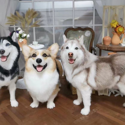 【受注製作】羊毛フェルト、うちの子、犬ぬいぐるみ、フェルト犬、ペットの肖像画、犬猫人形、ペットロス、うちのこ記念日 7枚目の画像