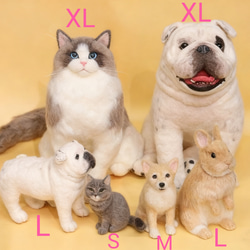 【受注製作】羊毛フェルト、うちの子、犬ぬいぐるみ、フェルト犬、ペットの肖像画、犬猫人形、ペットロス、うちのこ記念日 20枚目の画像