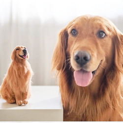 【受注製作】羊毛フェルト、うちの子、犬ぬいぐるみ、フェルト犬、ペットの肖像画、犬猫人形、ペットロス、うちのこ記念日 2枚目の画像