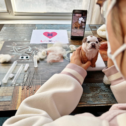 【受注製作】羊毛フェルト、うちの子、犬ぬいぐるみ、フェルト犬、ペットの肖像画、犬猫人形、ペットロス、うちのこ記念日 14枚目の画像