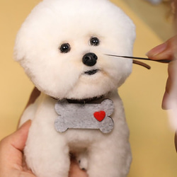 【受注製作】羊毛フェルト、うちの子、犬ぬいぐるみ、フェルト犬、ペットの肖像画、犬猫人形、ペットロス、うちのこ記念日 19枚目の画像