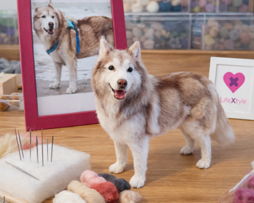 羊毛フェルト そっくり ペット オーダーメイド｜写真から作る ペット