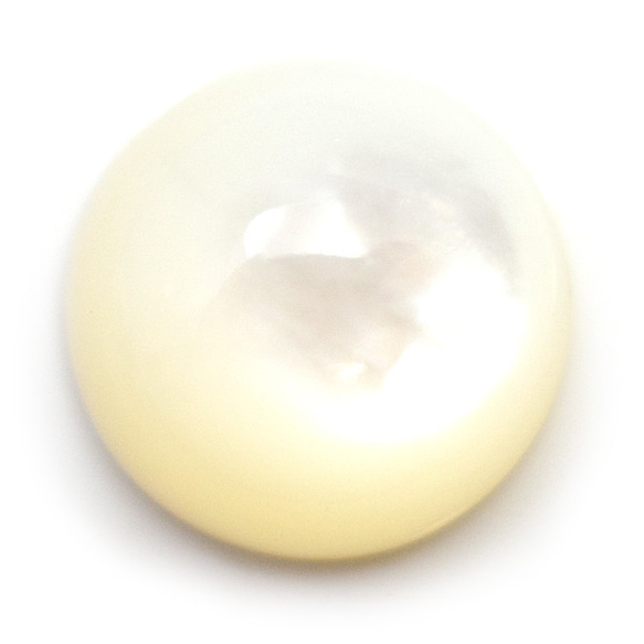 未使用品 シェルボタン 10mm 19束+@ 約492個 貝ボタン