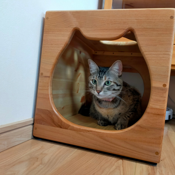 ねこねこハウスツール（アルダー） 天井　パイン材 　高