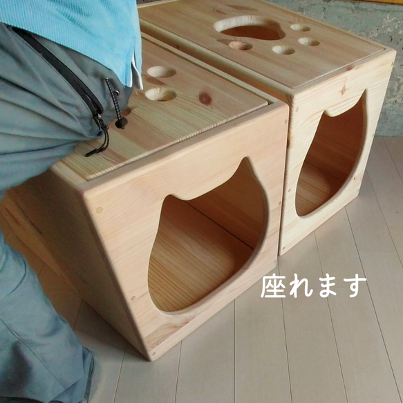 ねこねこハウスツール（アルダー） 天井　パイン材 　高