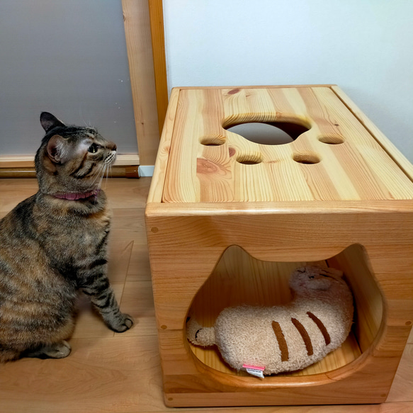 ねこねこハウスツール（アルダー） 天井　パイン材 　高