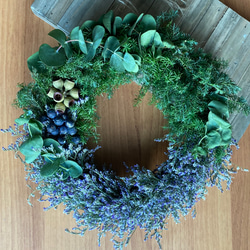 スワッグ(コニファーのツリー) / クリスマス　スワッグ　ドライフラワー 8ff7ce69b4c52e175566cf5a5e77d2