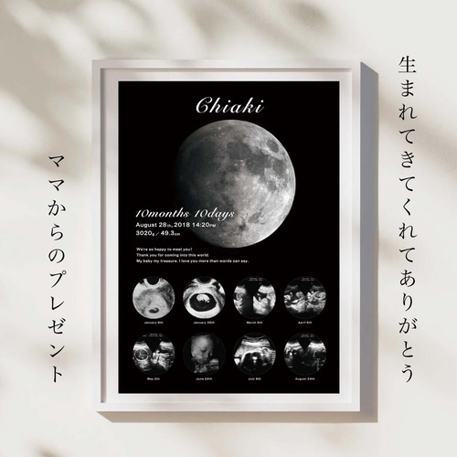 MOONー月ー】データ付き エコー写真ポスター／セミオーダー／データ 