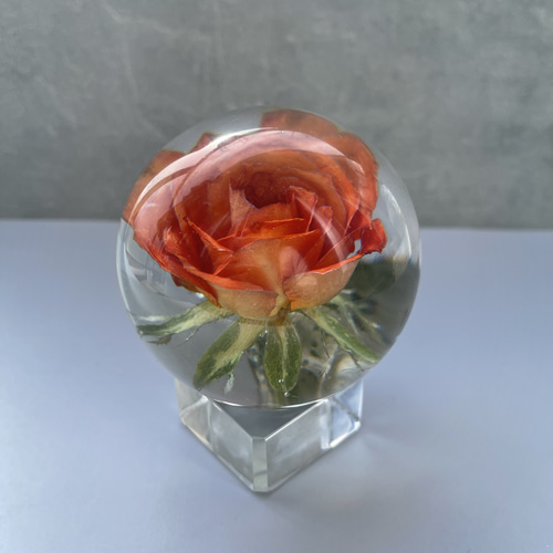 本物の薔薇のペーパーウエイト/癒しのインテリア/オプション台座あり