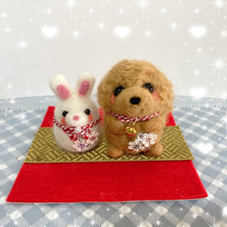 羊毛フェルトオーダー♡アプリコットプードルちゃん実物大。確認用 e13a94db97ced31d4ff442302de985