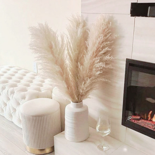 3本セット】＋1本おまけ 最安値 特大 XLサイズ パンパスグラス