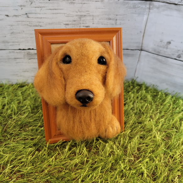 羊毛フェルト　犬　○Мダックスフンド○　フレーム 羊毛フェルト 犬 Мダックスフンド フレーム 羊毛フェルト ハンドメイド