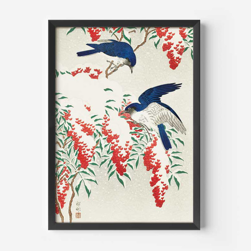 小原古邨、オオルリ鳥、和モダンだけじゃない、応用が利く和柄ポスター