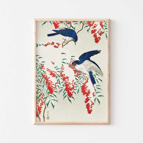 小原古邨、オオルリ鳥、和モダンだけじゃない、応用が利く和柄ポスター