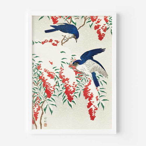 小原古邨、オオルリ鳥、和モダンだけじゃない、応用が利く和柄ポスター