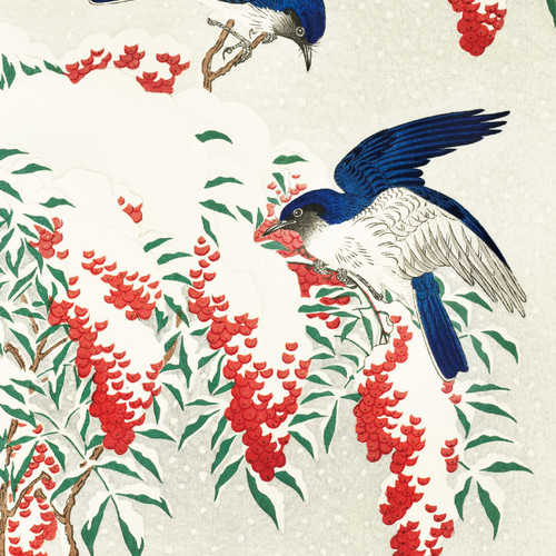 小原古邨、オオルリ鳥、和モダンだけじゃない、応用が利く和柄ポスター