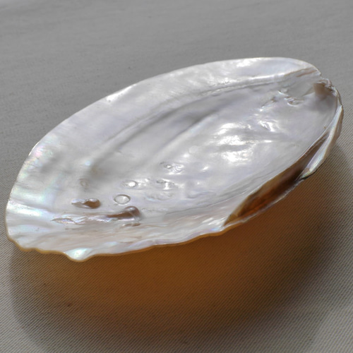 ★特選NEW★浄化✴︎エネルギーUP☆得々２枚【イケチョウ貝パールシェルトレイ】❤️ ☆特選NEW☆浄化✴︎エネルギーUP☆得々2枚【イケチョウ貝パールシェル