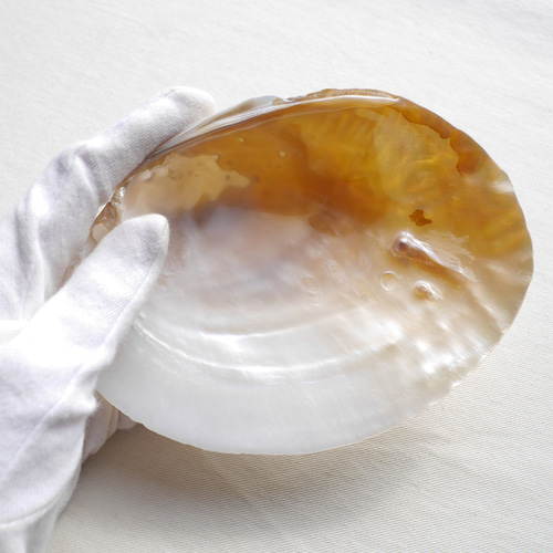 ★特選NEW★浄化✴︎エネルギーUP☆得々２枚【イケチョウ貝パールシェルトレイ】❤️ ☆特選NEW☆浄化✴︎エネルギーUP☆得々2枚【イケチョウ貝パールシェル