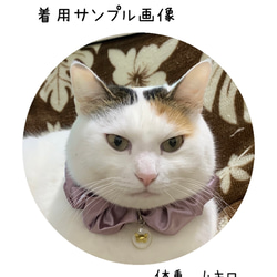 ⑥ラベンダー　猫首輪　シュシュ首輪　オリジナルチャーム付き　猫首輪　エレガント首輪 10枚目の画像