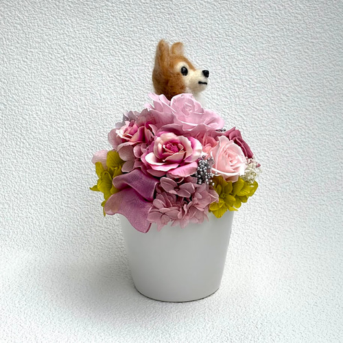 羊毛フェルト 犬 チワワ フォーン  ひらりん。 ひらりん。様専用 羊毛フェルト 犬 チワワちゃん