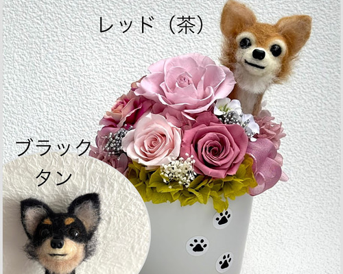 羊毛フェルト 犬 チワワ フォーン  ひらりん。 ひらりん。様専用 羊毛フェルト 犬 チワワちゃん