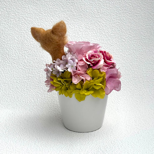 ちょこんと顔出す チワワ（右側）＆ プリザーブドフラワー（くすみ