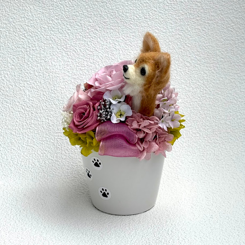 ちょこんと顔出す チワワ（右側）＆ プリザーブドフラワー（くすみ