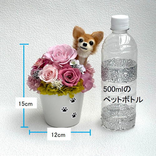 ちょこんと顔出す チワワ（右側）＆ プリザーブドフラワー