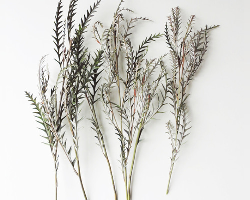 f47d24bd30efc1941b84f178700f98