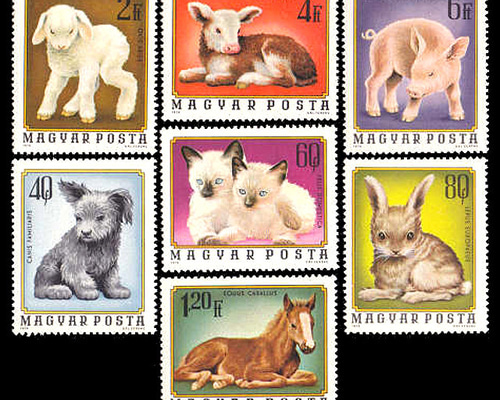 動物の赤ちゃん ハンガリー1974年 外国切手7種 未使用【猫 犬 古切手