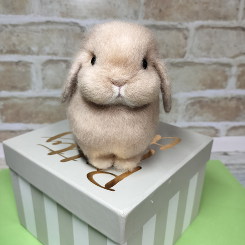 うさぎ羊毛フェルト ホーランドロップフォーン Sサイズ 羊毛 うさぎ羊毛フェルト ホーランドロップフォーン Sサイズ 羊毛