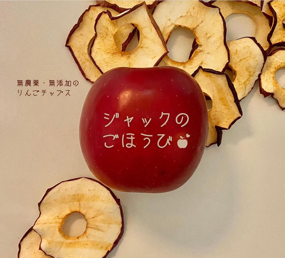 化学農薬・化学肥料不使用、無袋栽培・無添加 紅玉 特上 ドライりんご