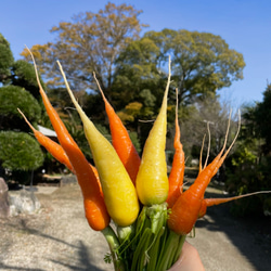 野菜たっぷり【切り干し大根50g 10種類の乾燥野菜MIX50g】無添加 無着色 7枚目の画像