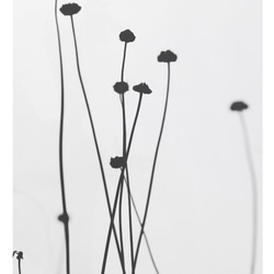 【アートポスター】植物　花　北欧　ボタニカル　ポスター　シンプル　モノトーン　モノクロ　白　ホワイト　黒　インテリア 4枚目の画像