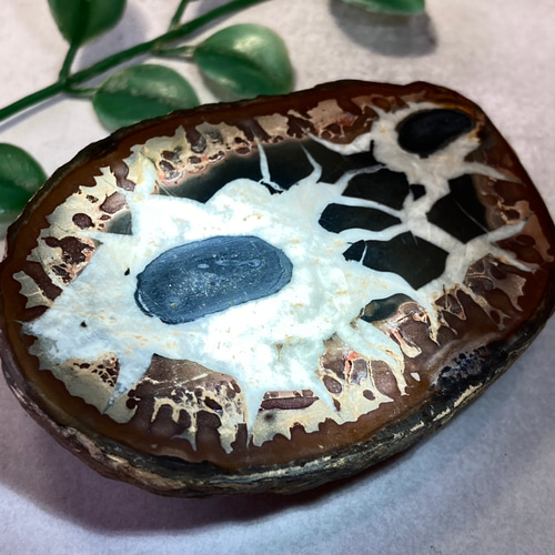 セプタリアン　原石　ドラゴンストーン　水晶 71Qc-L527OL._AC_UF894,