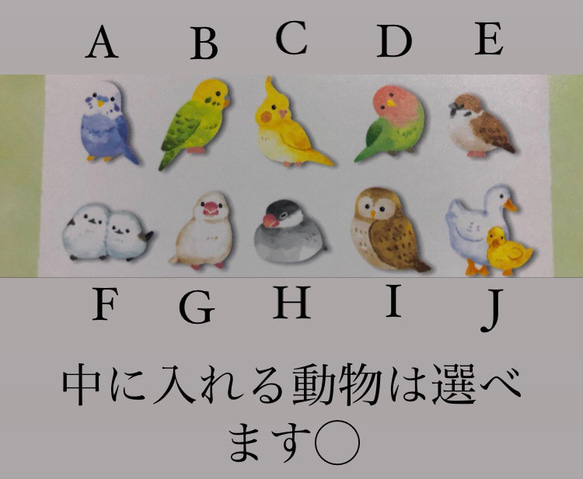 セキセイインコのピンバッチ 3枚目の画像