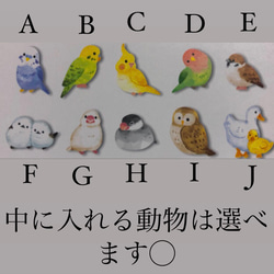 セキセイインコとお花のヘアゴム 6枚目の画像