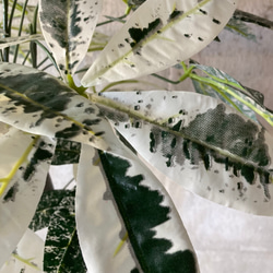光触媒人工観葉植物ウォールグリーンフェイクフラワーハンドメイド　パキラミルキーウェイ 7枚目の画像