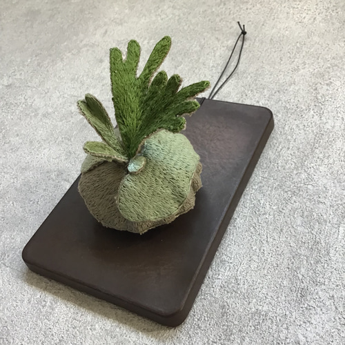 ビカクプレートB