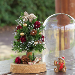 コルク瓶の中のクリスマスツリー・ナチュラル素材の癒されオンリーワンのクリスマスツリー・無料クリスマスラッピング 2枚目の画像