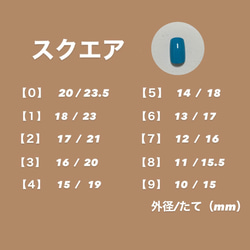 測定用チップ 3枚目の画像